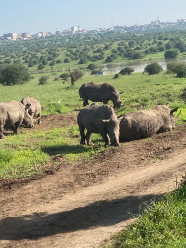 nairobi-kenya